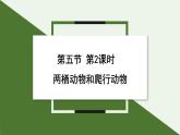 2.2.2  两栖动物和爬行动物  课件 第2课时--2024-2025学年人教版（2024）生物七年级上册
