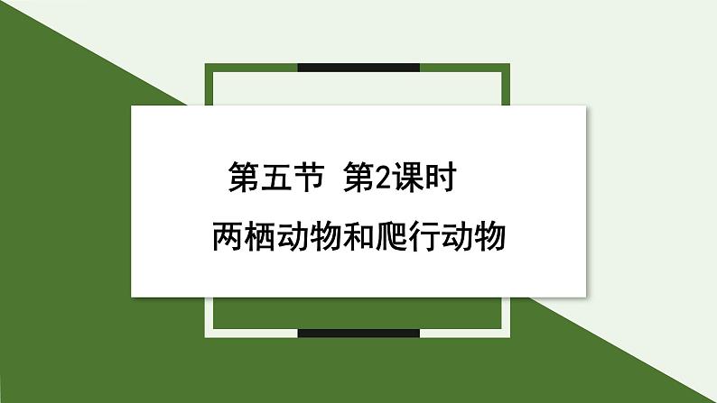 2.2.2  两栖动物和爬行动物  课件 第2课时--2024-2025学年人教版（2024）生物七年级上册01