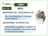 2.2.2  两栖动物和爬行动物  课件 第2课时--2024-2025学年人教版（2024）生物七年级上册