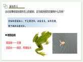 2.2.2  两栖动物和爬行动物  课件 第2课时--2024-2025学年人教版（2024）生物七年级上册