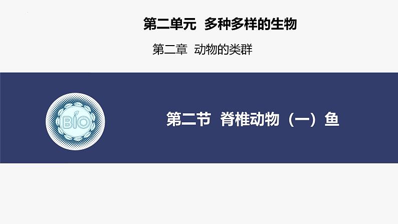 2.2.2 脊椎动物（一）鱼 课件 (内嵌视频2个) -2024-2025学年人教版（2024）生物七年级上册第4页