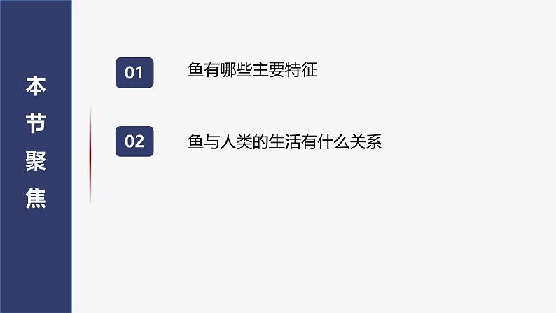 2.2.2 脊椎动物（一）鱼 课件 (内嵌视频2个) -2024-2025学年人教版（2024）生物七年级上册第5页