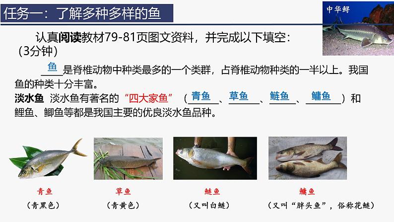 2.2.2 脊椎动物（一）鱼 课件 (内嵌视频2个) -2024-2025学年人教版（2024）生物七年级上册第6页