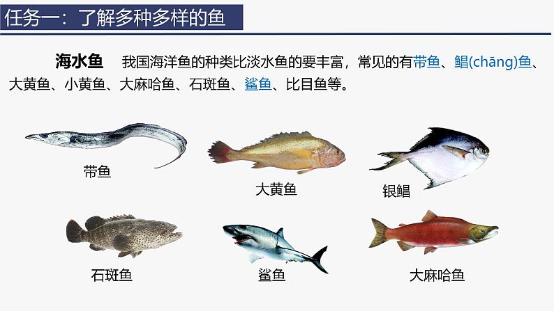 2.2.2 脊椎动物（一）鱼 课件 (内嵌视频2个) -2024-2025学年人教版（2024）生物七年级上册第7页