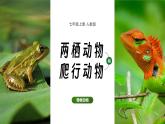 2.2.2 脊椎动物-两栖动物和爬行动物（教学设计（表格式）+课件）---2024-2025学年人教版（2024）生物七年级上册