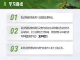 2.2.2 脊椎动物-两栖动物和爬行动物（教学设计（表格式）+课件）---2024-2025学年人教版（2024）生物七年级上册