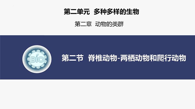 2.2.2 脊椎动物（二）两栖动物和爬行动物 课件--2024-2025学年人教版（2024）生物七年级上册01