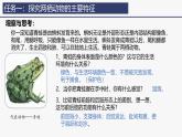 2.2.2 脊椎动物（二）两栖动物和爬行动物 课件--2024-2025学年人教版（2024）生物七年级上册