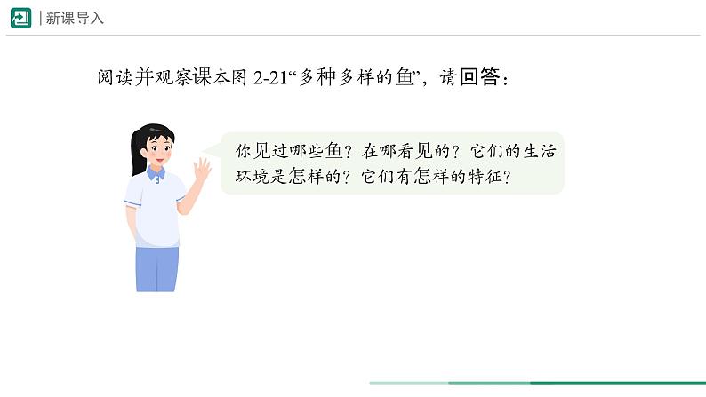 2.2.2.1  鱼 课件  (内嵌视频4个) ----2024-2025学年人教版（2024）生物七年级上册03