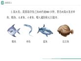 2.2.2.1  鱼 课件  (内嵌视频4个) ----2024-2025学年人教版（2024）生物七年级上册
