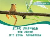 2.2.2.2 两栖动物和爬行动物 课件  (内嵌视频 2个) ----2024-2025学年人教版（2024）生物七年级上册