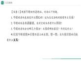 2.2.2.2 两栖动物和爬行动物 课件  (内嵌视频 2个) ----2024-2025学年人教版（2024）生物七年级上册