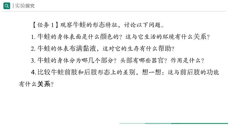 2.2.2.2 两栖动物和爬行动物 课件  (内嵌视频 2个) ----2024-2025学年人教版（2024）生物七年级上册05