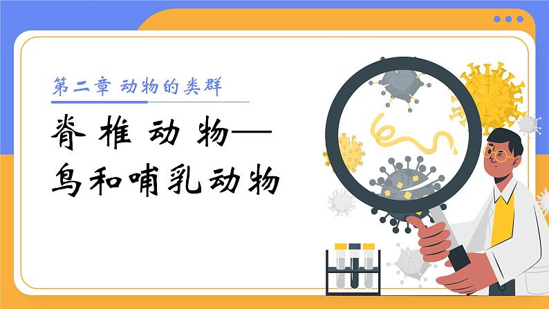 2.2.2.3  脊椎动物-鸟和哺乳动物（教学设计（表格式）+课件）---2024-2025学年人教版（2024）生物七年级上册01