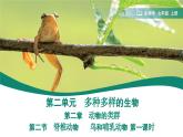2.2.2.3 脊椎动物——鸟和哺乳动物 第一课时课件(内嵌视频1个)----2024-2025学年人教版（2024）生物七年级上册