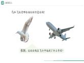 2.2.2.3 脊椎动物——鸟和哺乳动物 第一课时课件(内嵌视频1个)----2024-2025学年人教版（2024）生物七年级上册