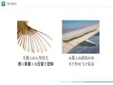 2.2.2.3 脊椎动物——鸟和哺乳动物 第一课时课件(内嵌视频1个)----2024-2025学年人教版（2024）生物七年级上册