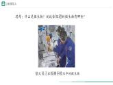 2.3.1 微生物的分布 课件 (内嵌视频1个) ----2024-2025学年人教版（2024）生物七年级上册