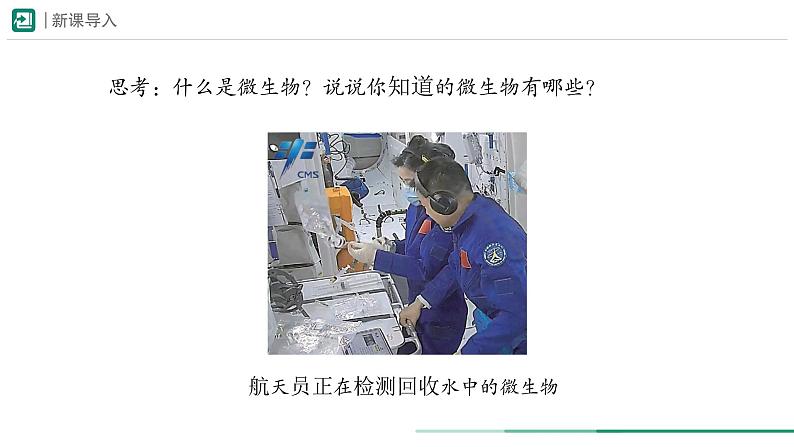 2.3.1 微生物的分布 课件 (内嵌视频1个) ----2024-2025学年人教版（2024）生物七年级上册02