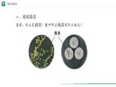 2.3.1 微生物的分布 课件 (内嵌视频1个) ----2024-2025学年人教版（2024）生物七年级上册