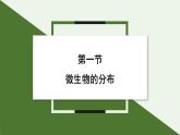 2.3.1 微生物的分布 课件--2024-2025学年人教版（2024）生物七年级上册