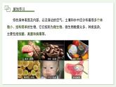 2.3.1 微生物的分布 课件--2024-2025学年人教版（2024）生物七年级上册