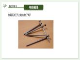 2.3.1 微生物的分布 课件--2024-2025学年人教版（2024）生物七年级上册