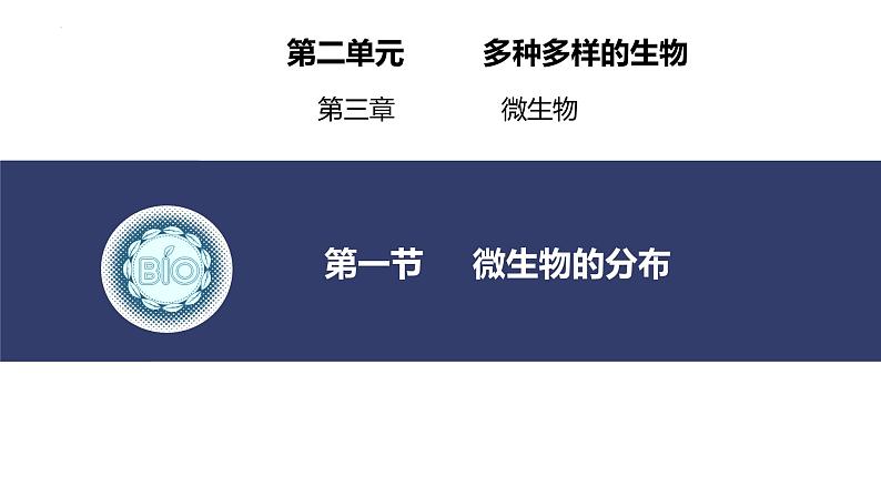 2.3.1微生物的分布课件---2024-2025学年人教版（2024）生物七年级上册01