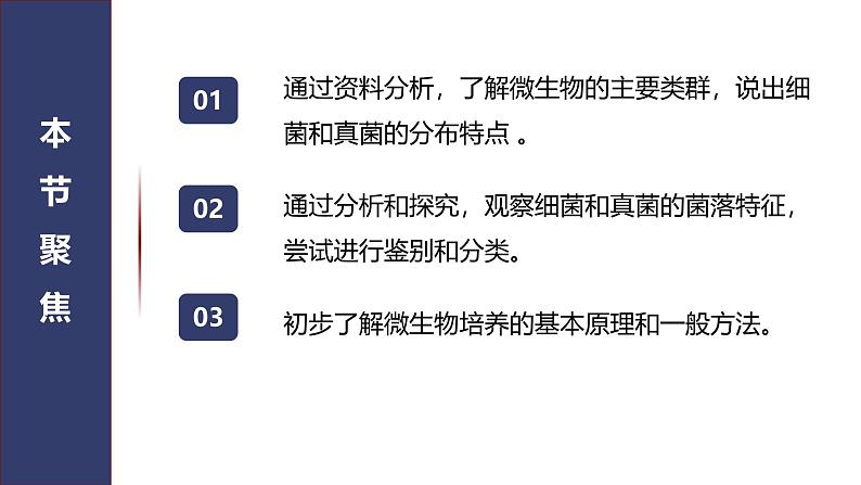 2.3.1微生物的分布课件---2024-2025学年人教版（2024）生物七年级上册02