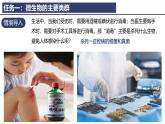 2.3.1微生物的分布课件---2024-2025学年人教版（2024）生物七年级上册