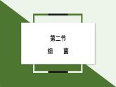 2.3.2 细菌  课件--2024-2025学年人教版（2024）生物七年级上册