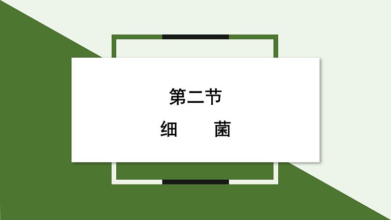 2.3.2 细菌  课件--2024-2025学年人教版（2024）生物七年级上册第1页