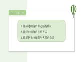 2.3.2 细菌  课件--2024-2025学年人教版（2024）生物七年级上册