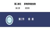 2.3.2 细菌 课件2024-2025学年人教版（2024）生物七年级上册
