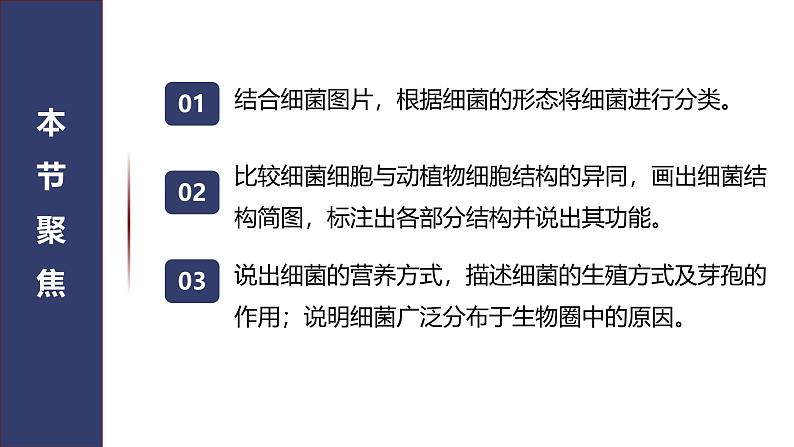 2.3.2 细菌 课件2024-2025学年人教版（2024）生物七年级上册第2页