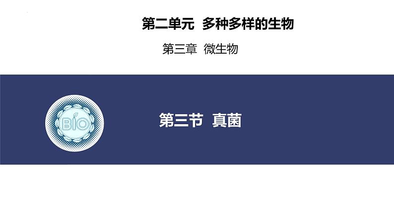 2.3.3 真菌 课件 (内嵌视频1个)-----2024-2025学年人教版（2024）生物七年级上册第1页