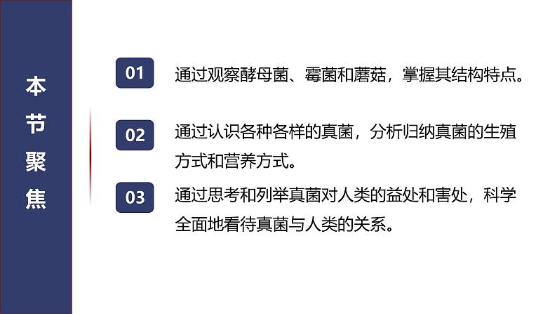 2.3.3 真菌 课件 (内嵌视频1个)-----2024-2025学年人教版（2024）生物七年级上册第3页