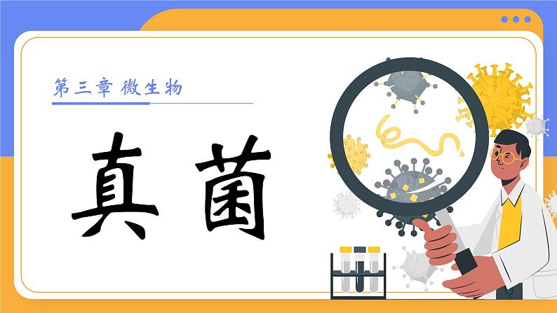 2.3.3 真菌课件内嵌视频1个)----2024-2025学年人教版（2024）生物七年级上册01