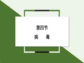 2.3.4 病毒 课件--2024-2025学年人教版（2024）生物七年级上册