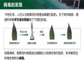 2.3.4 病毒（教学设计（表格式）+课件(内嵌视频2个)）---2024-2025学年人教版（2024）生物七年级上册