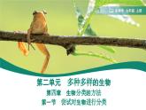 2.4.1 嘗試對(duì)生物進(jìn)行分類(lèi) 課件 -2024-2025學(xué)年人教版（2024）生物七年級(jí)上冊(cè)