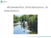 2.4.1 嘗試對(duì)生物進(jìn)行分類(lèi) 課件 -2024-2025學(xué)年人教版（2024）生物七年級(jí)上冊(cè)