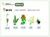 2.4.1 嘗試對(duì)生物進(jìn)行分類(lèi) 課件--2024-2025學(xué)年人教版（2024）生物七年級(jí)上冊(cè)