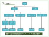 2.4.1 嘗試對(duì)生物進(jìn)行分類(lèi) 課件--2024-2025學(xué)年人教版（2024）生物七年級(jí)上冊(cè)