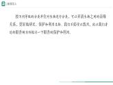 2.4.2 从种到界  课件 第二课时 -----2024-2025学年人教版（2024）生物七年级上册