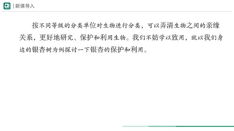 2.4.2 从种到界  课件 第二课时 -----2024-2025学年人教版（2024）生物七年级上册02