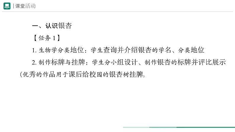 2.4.2 从种到界  课件 第二课时 -----2024-2025学年人教版（2024）生物七年级上册04