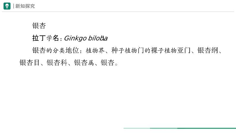 2.4.2 从种到界  课件 第二课时 -----2024-2025学年人教版（2024）生物七年级上册05