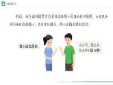 2.4.2 从种到界 课件 第一课时--2024-2025学年人教版（2024）生物七年级上册