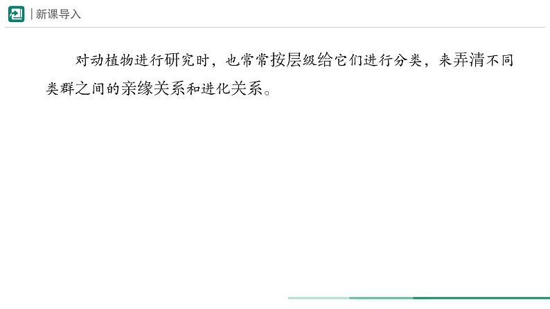 2.4.2 从种到界 课件 第一课时--2024-2025学年人教版（2024）生物七年级上册03